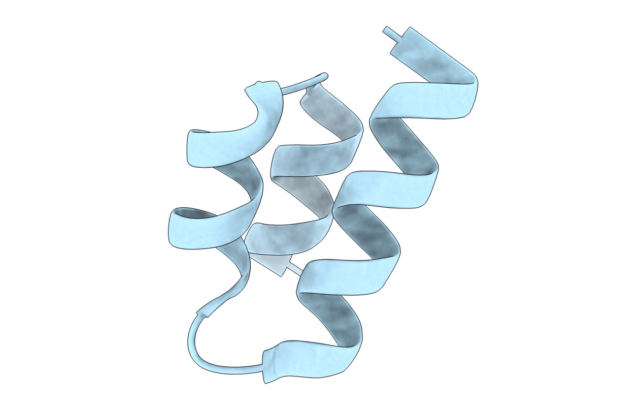 6E6N image