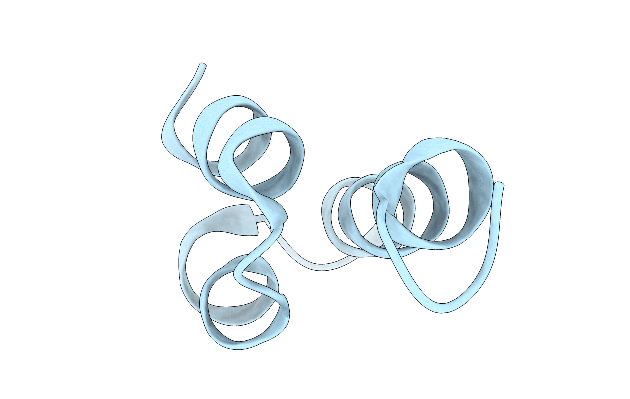 6E6O image