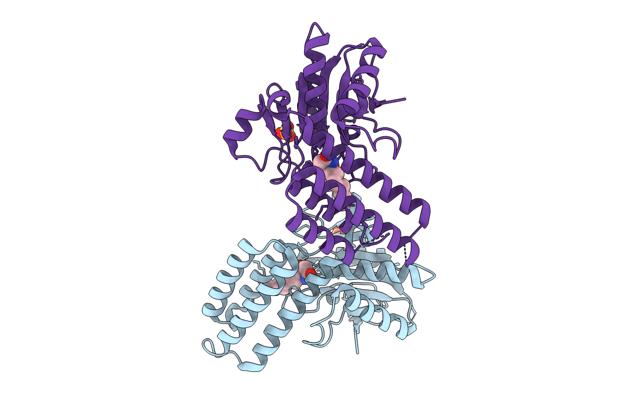 6E6T image