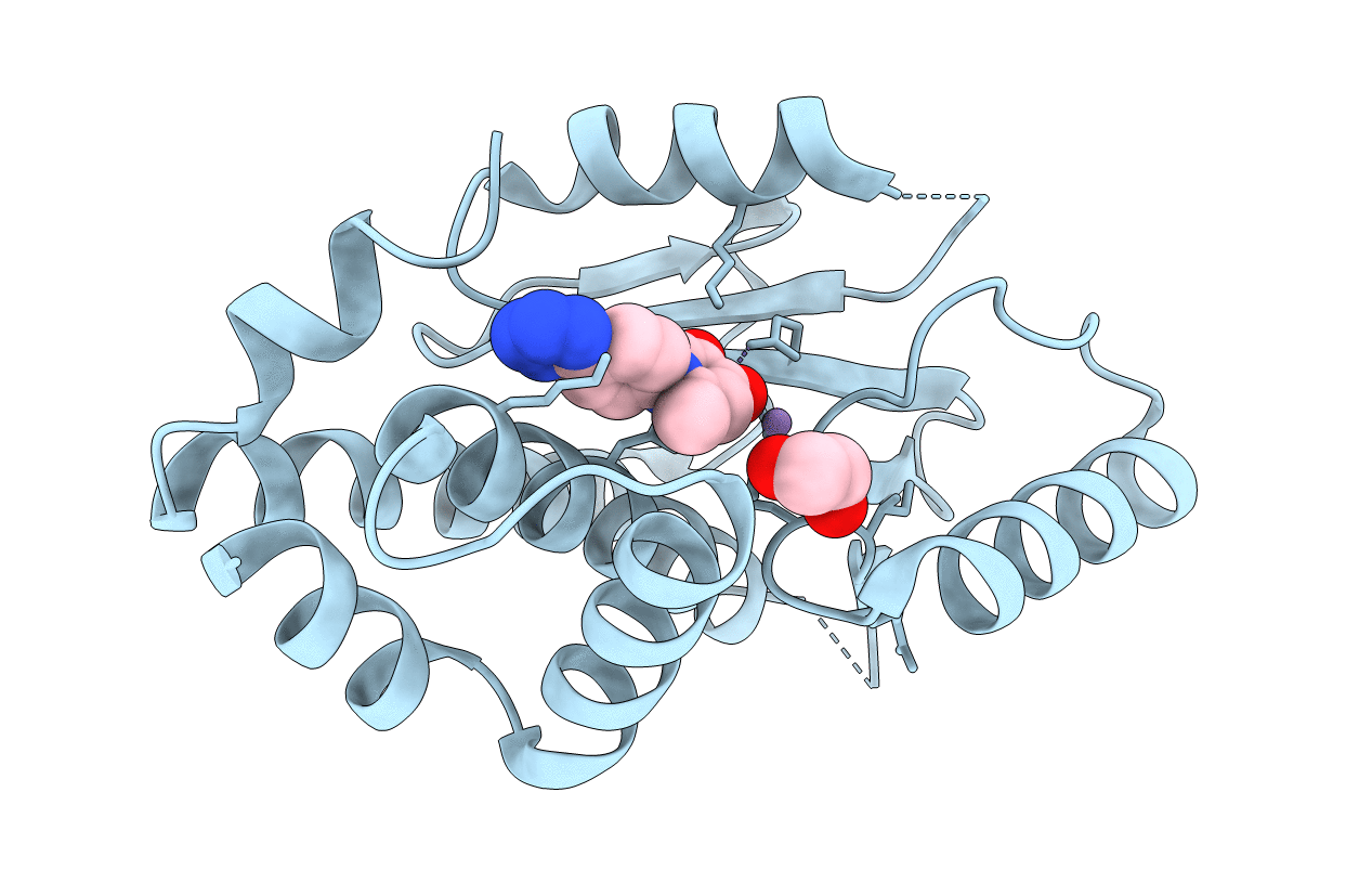 6E6X image