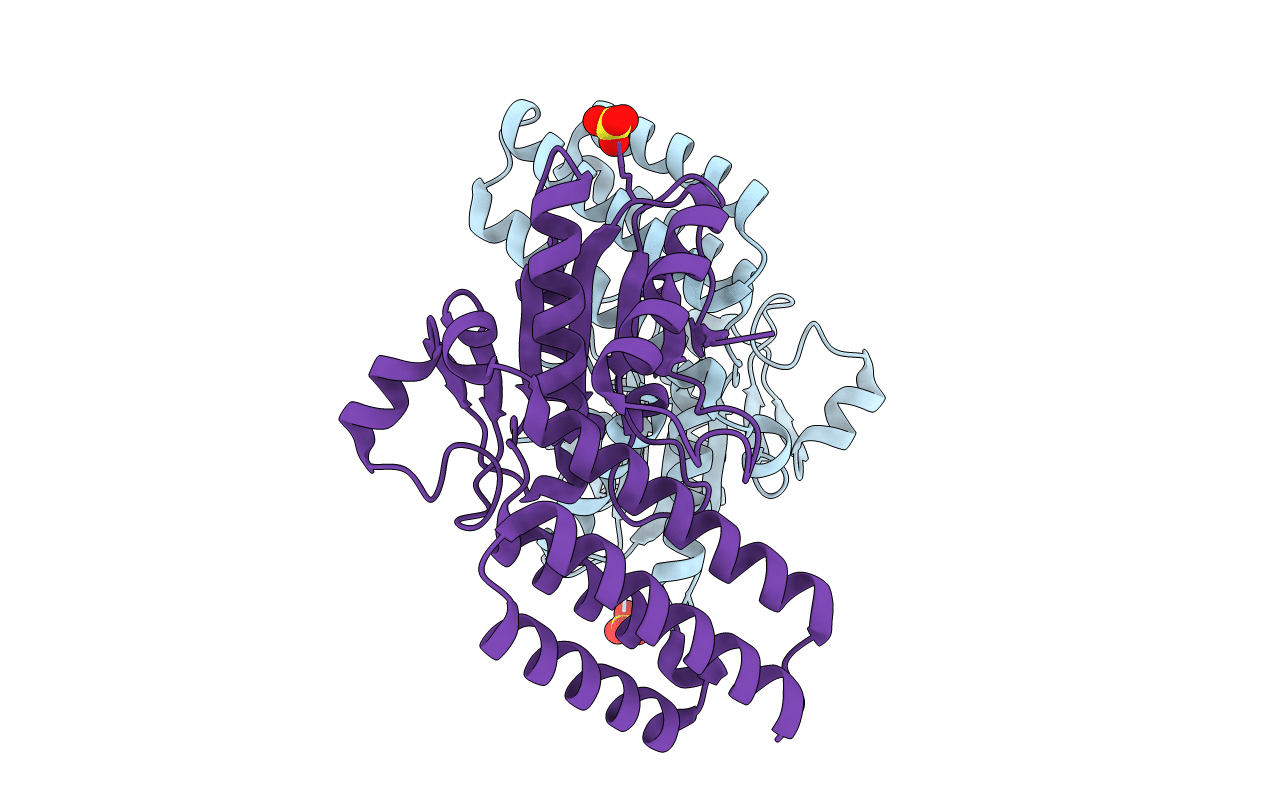 6E6Y image