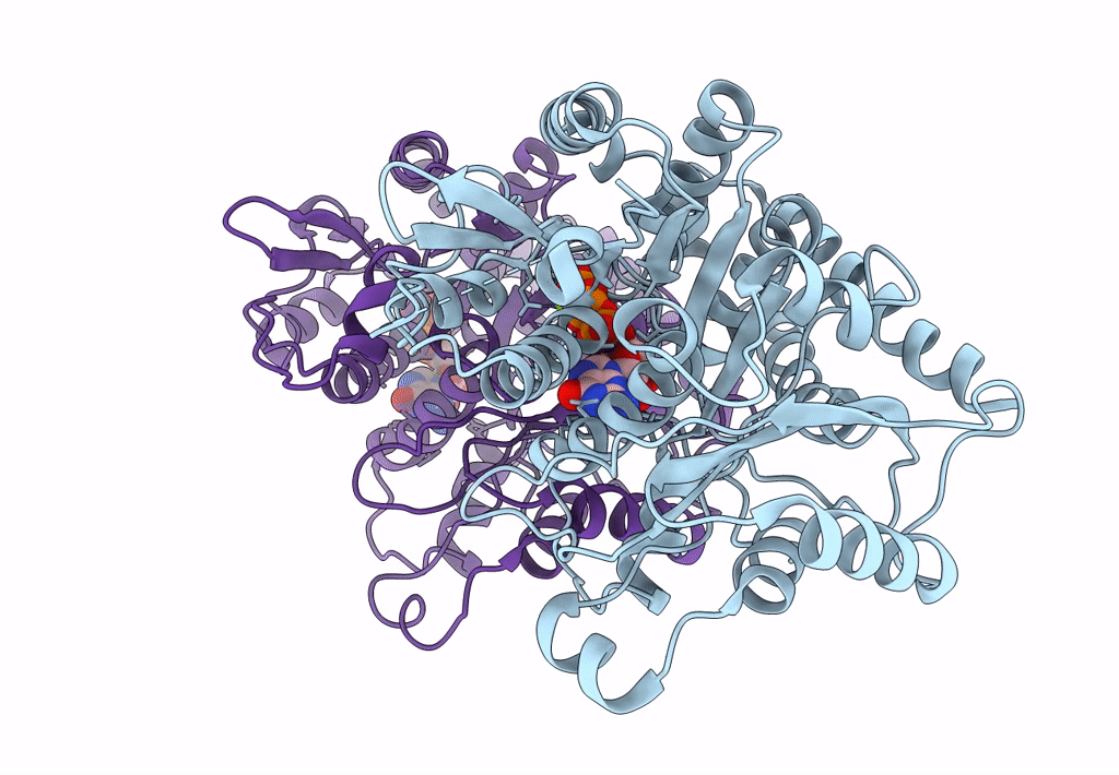 6E7B image