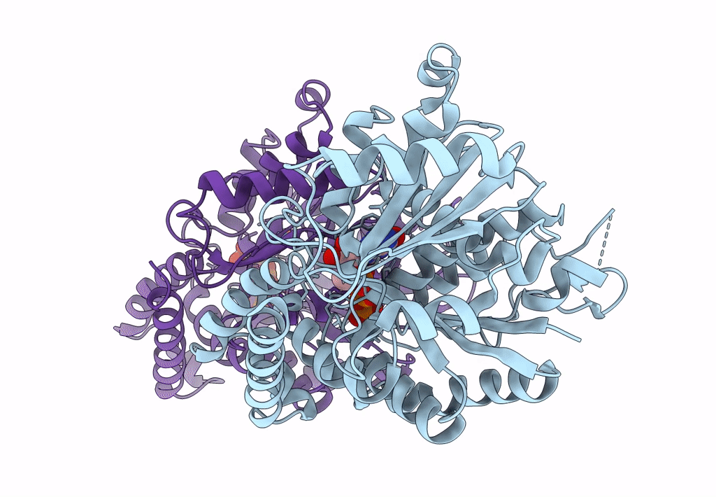 6E7C image