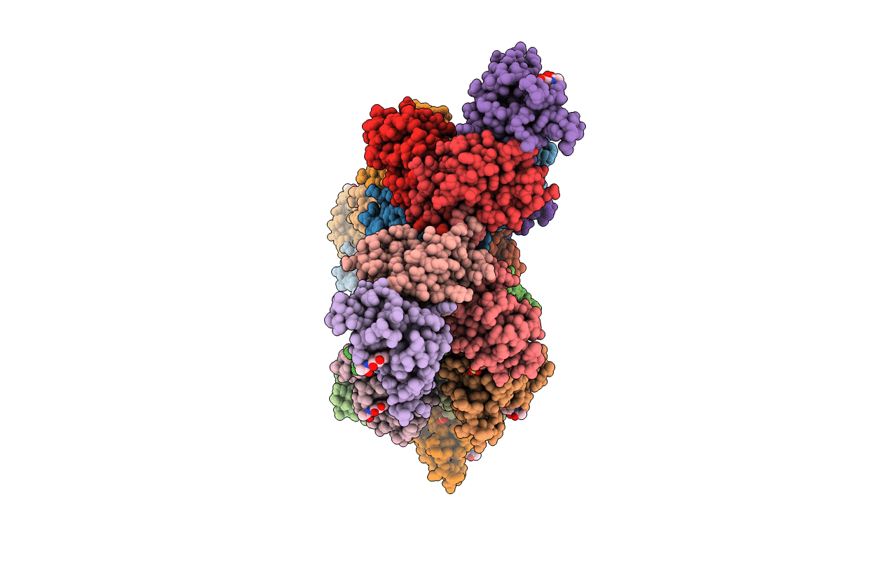 6E7D image