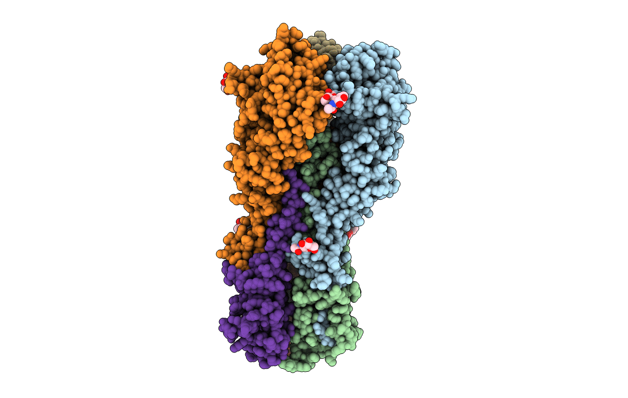 6E7G image