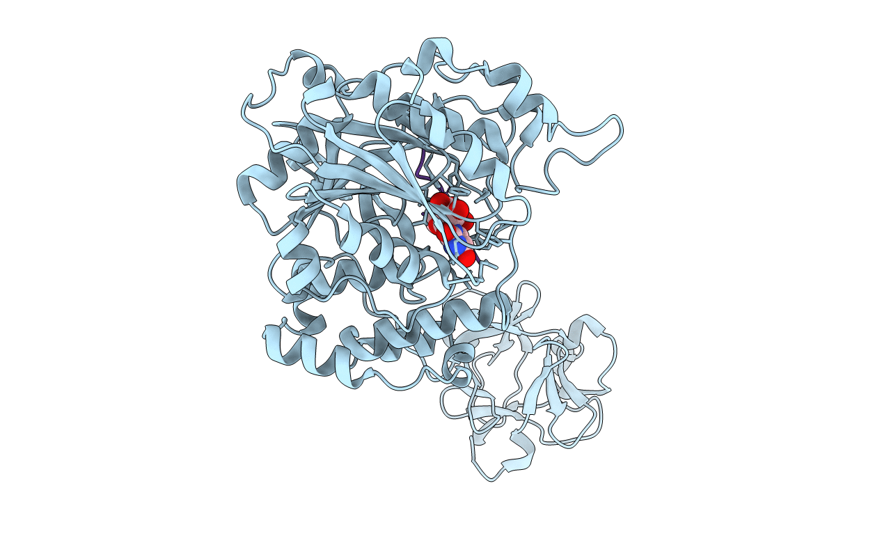 6E7I image