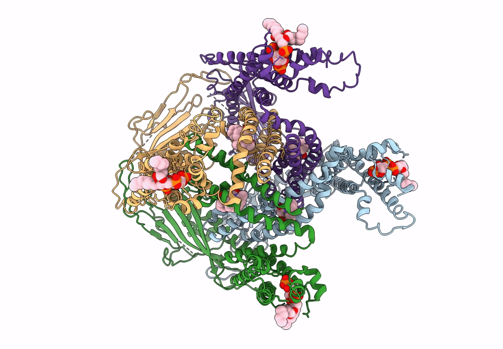 6E7Z image