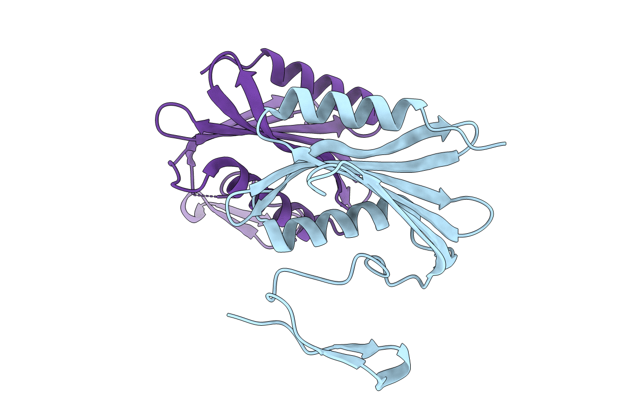 6E8A image