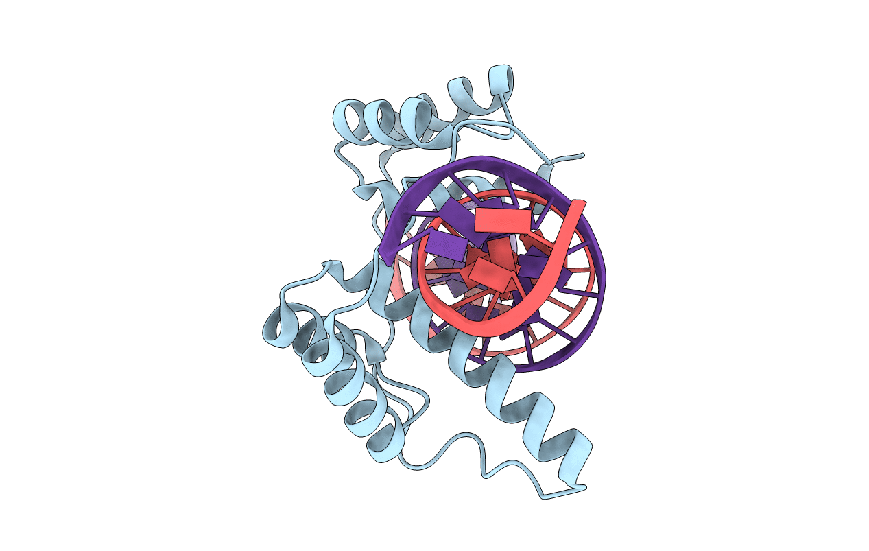 6E8C image