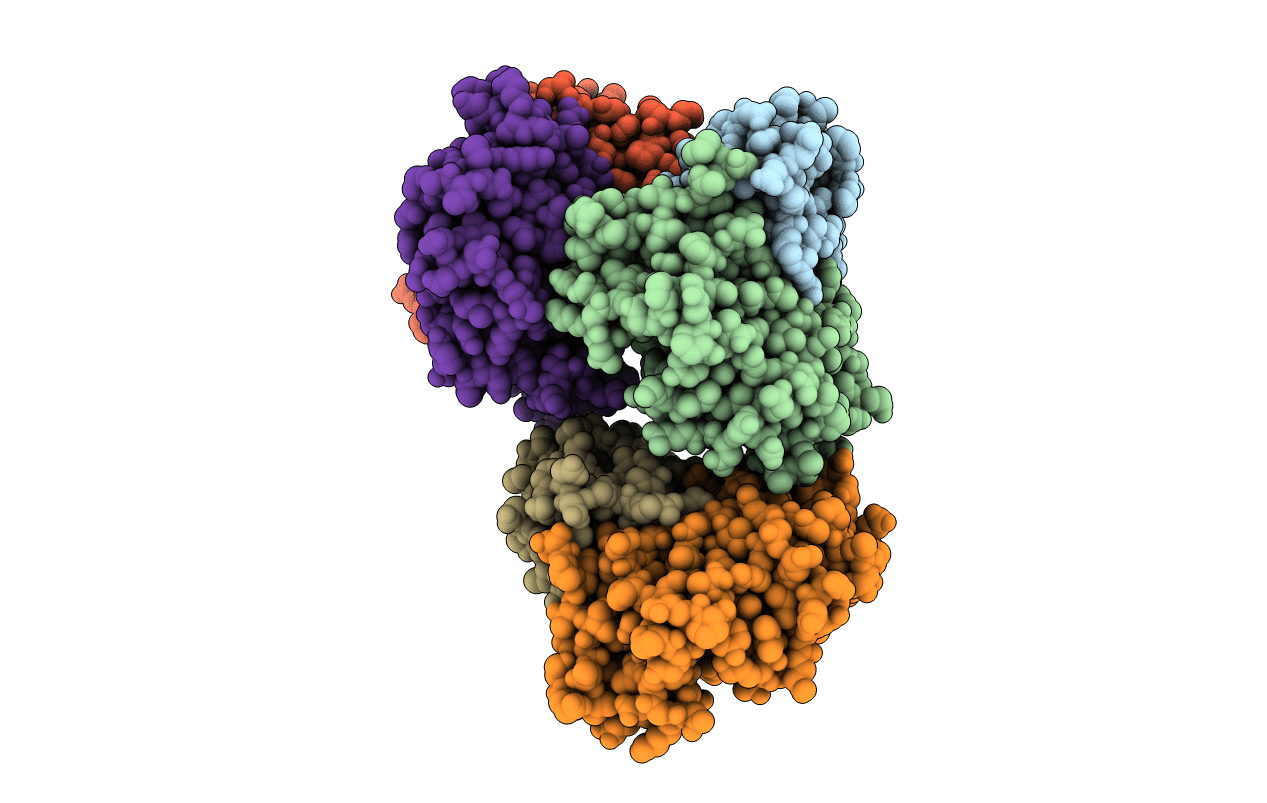 6E8L image