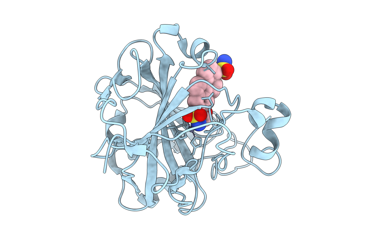 6E8X image