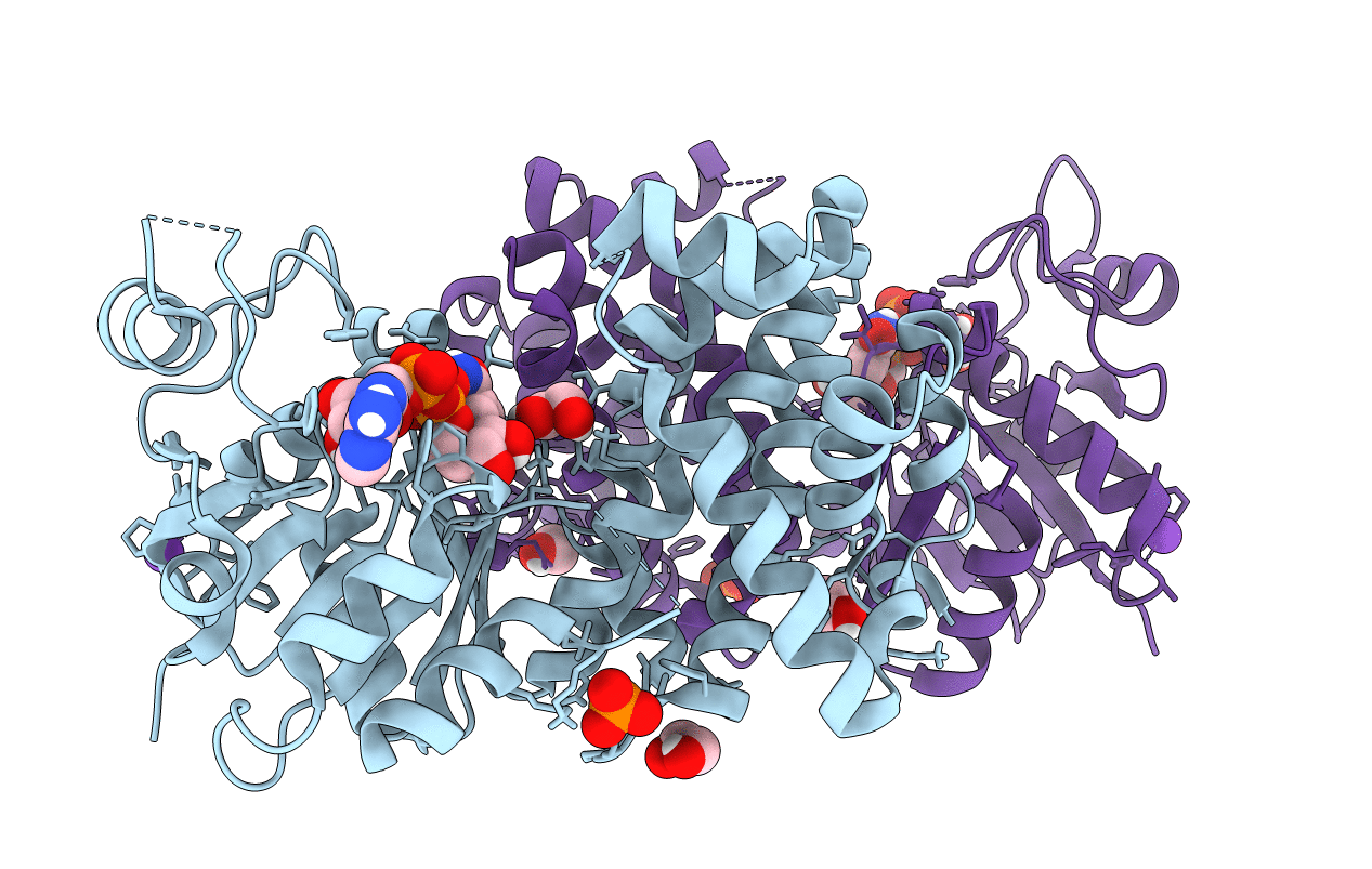 6E8Z image