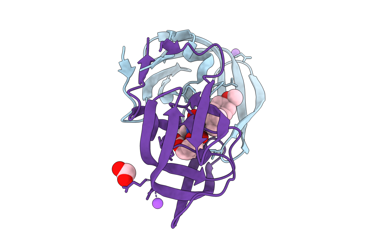 6E9A image
