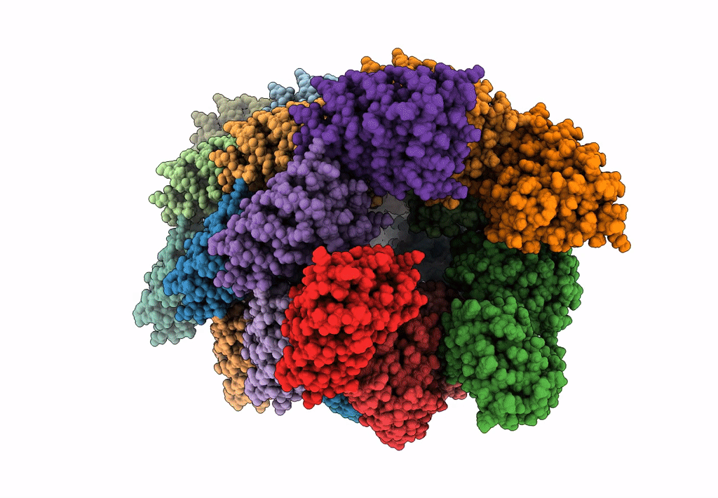 6E9R image