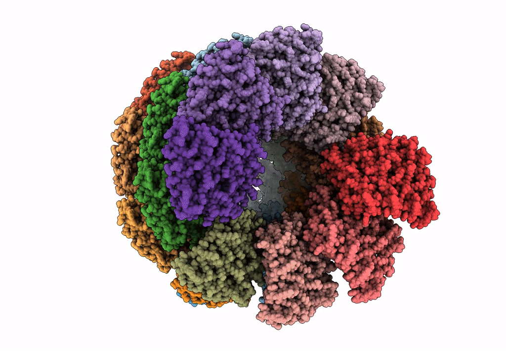 6E9T image