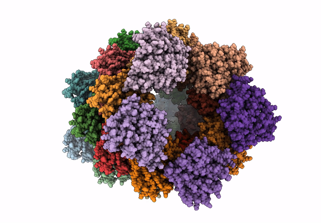6E9V image