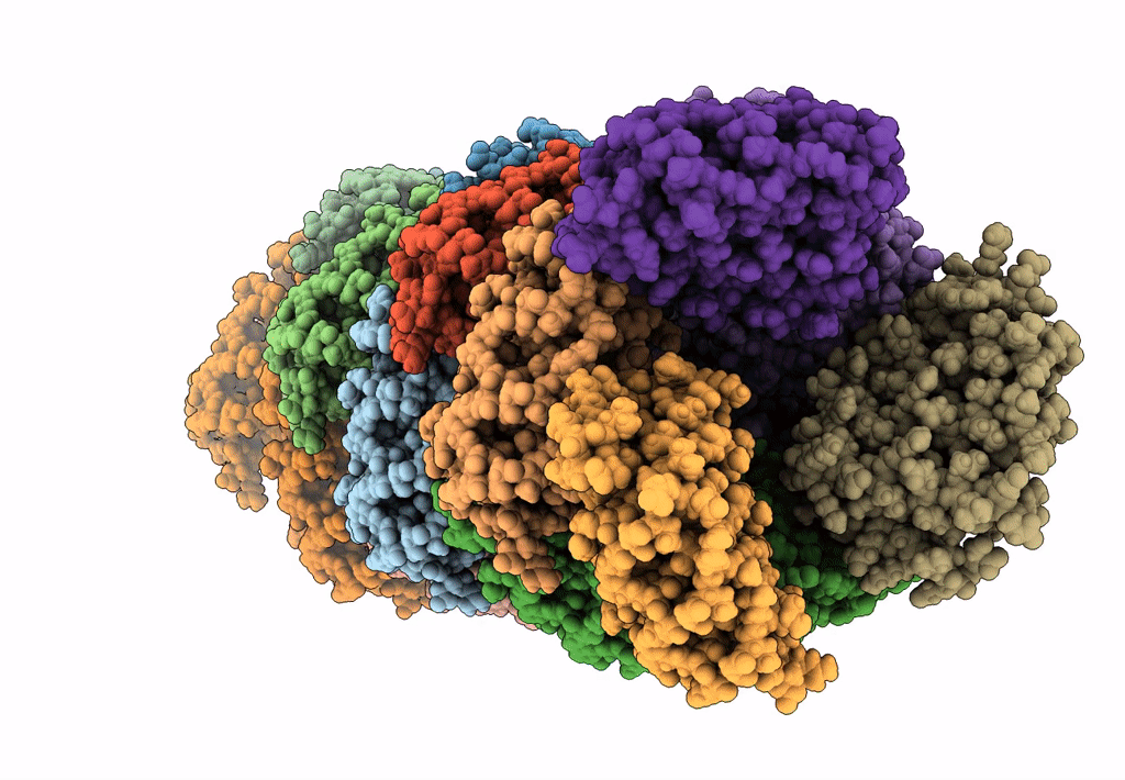 6E9X image