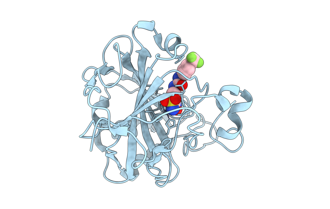 6EBE image