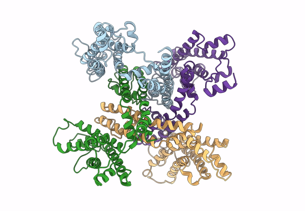 6EBM image