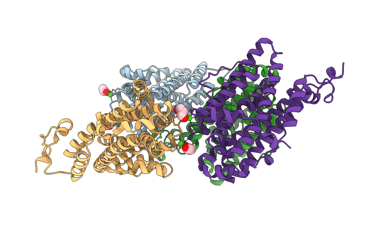 6EBP image