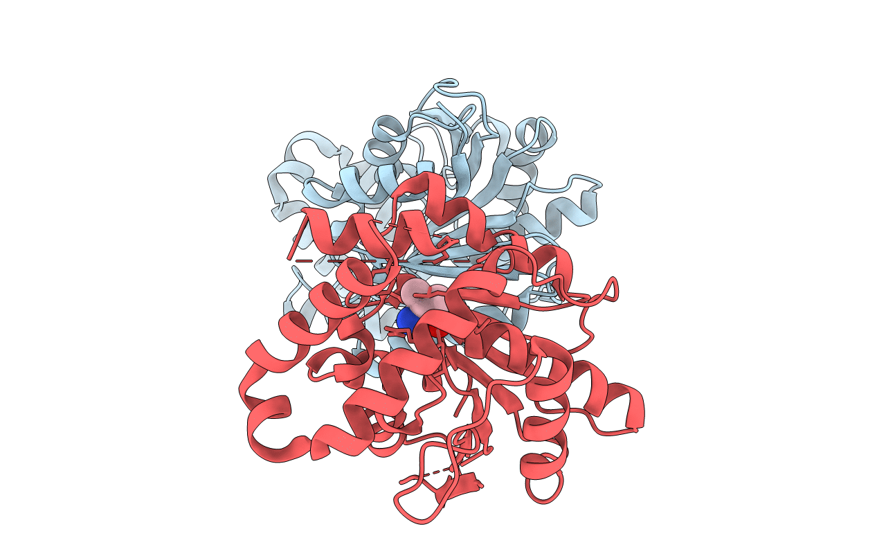 6ECE image