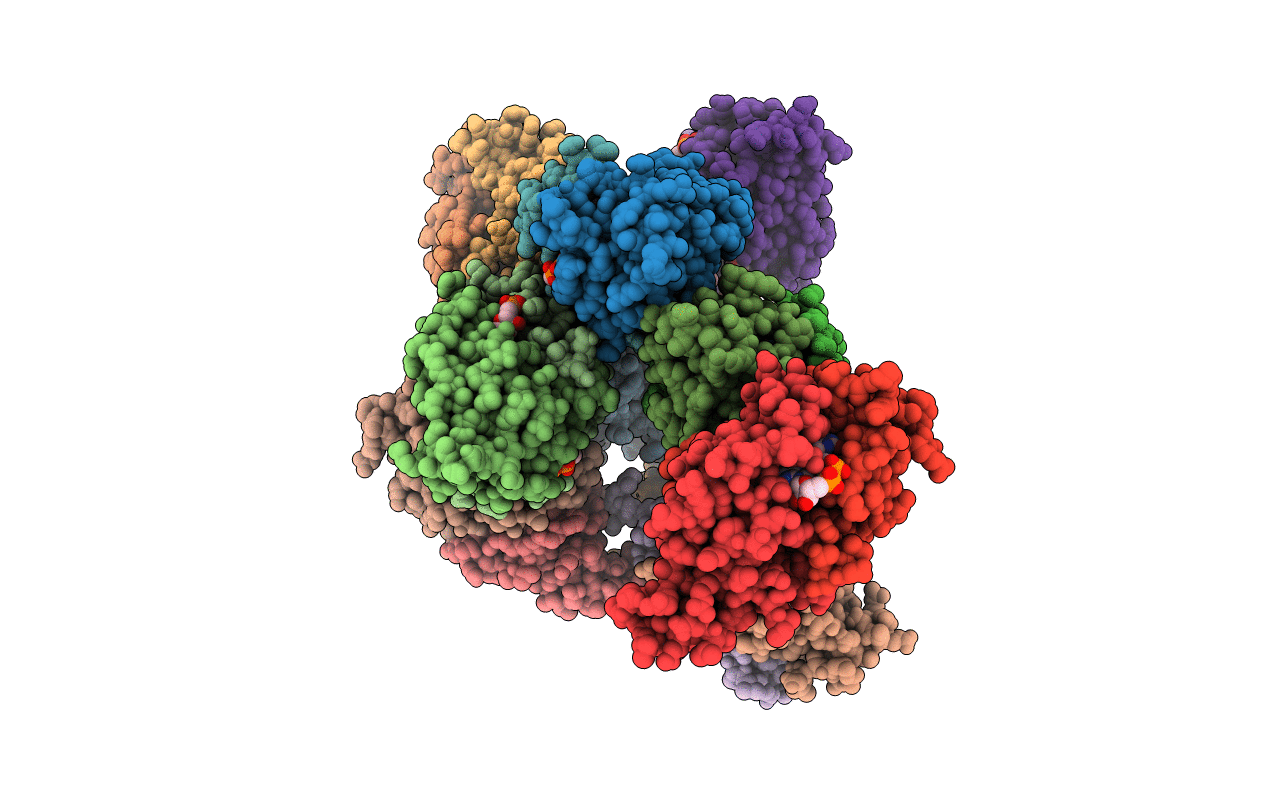 6ECI image