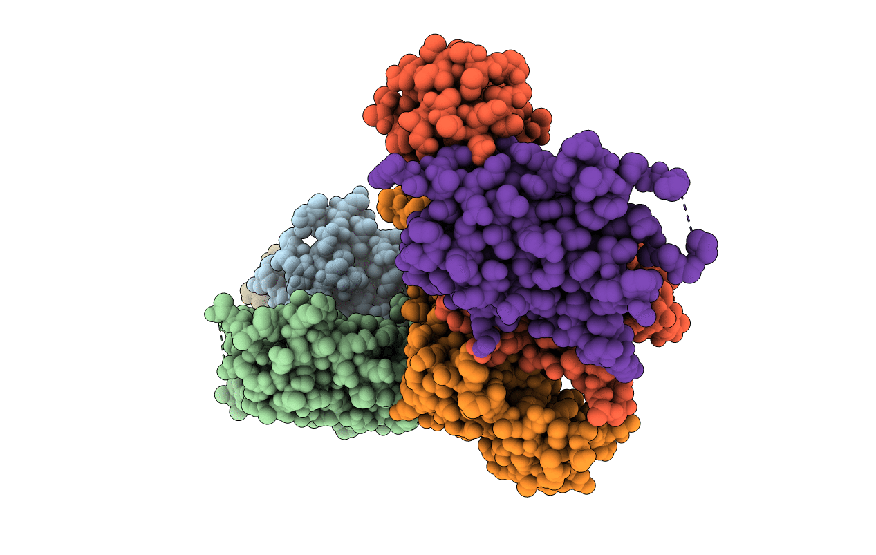 6ECN image