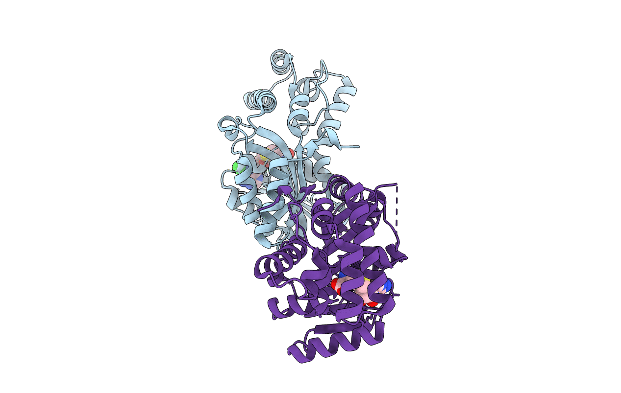 6ECV image