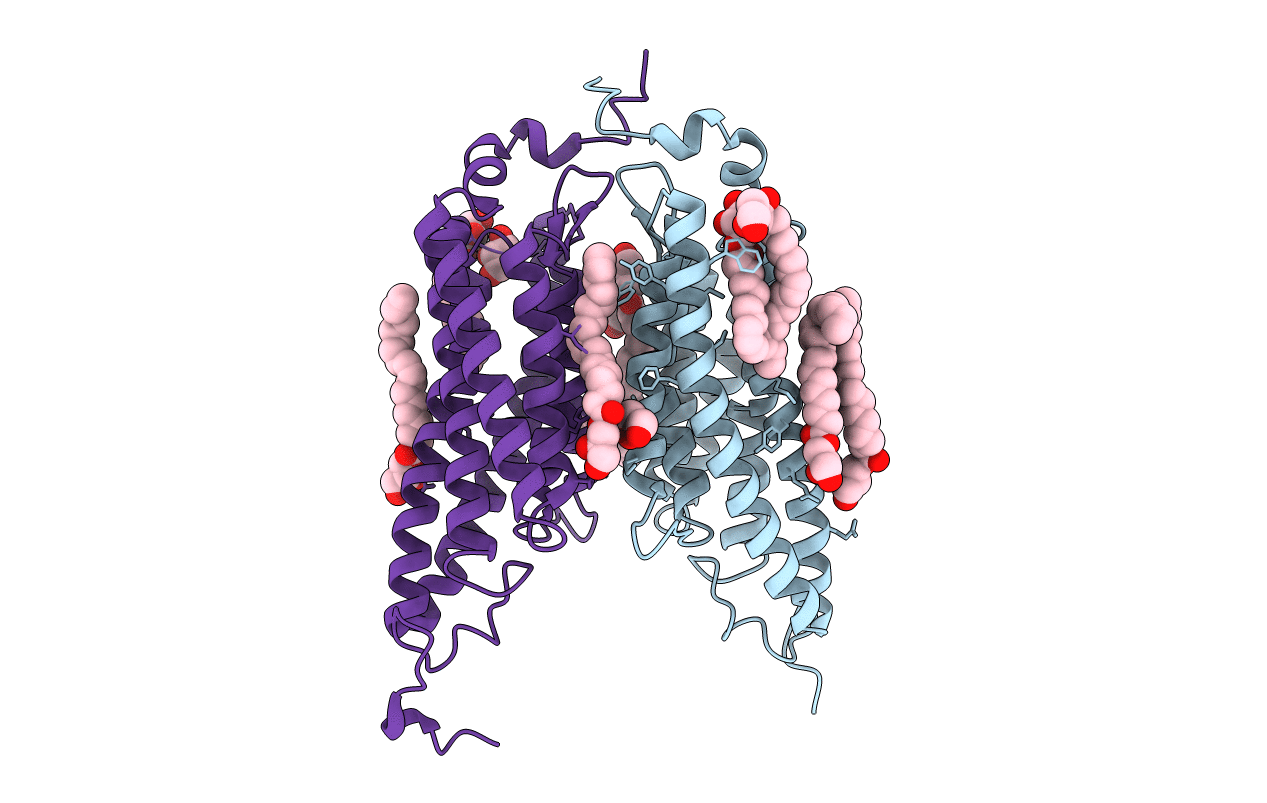 6EDQ image
