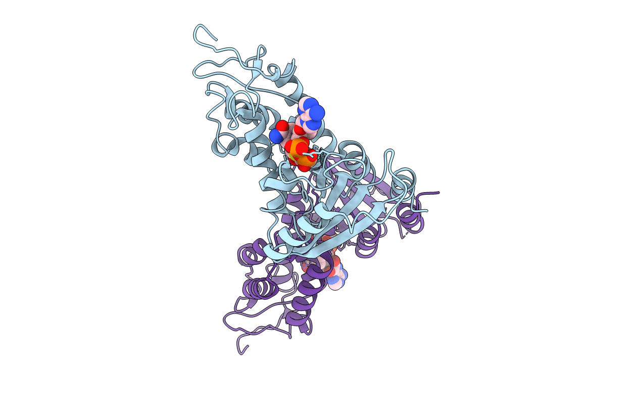 6EDR image