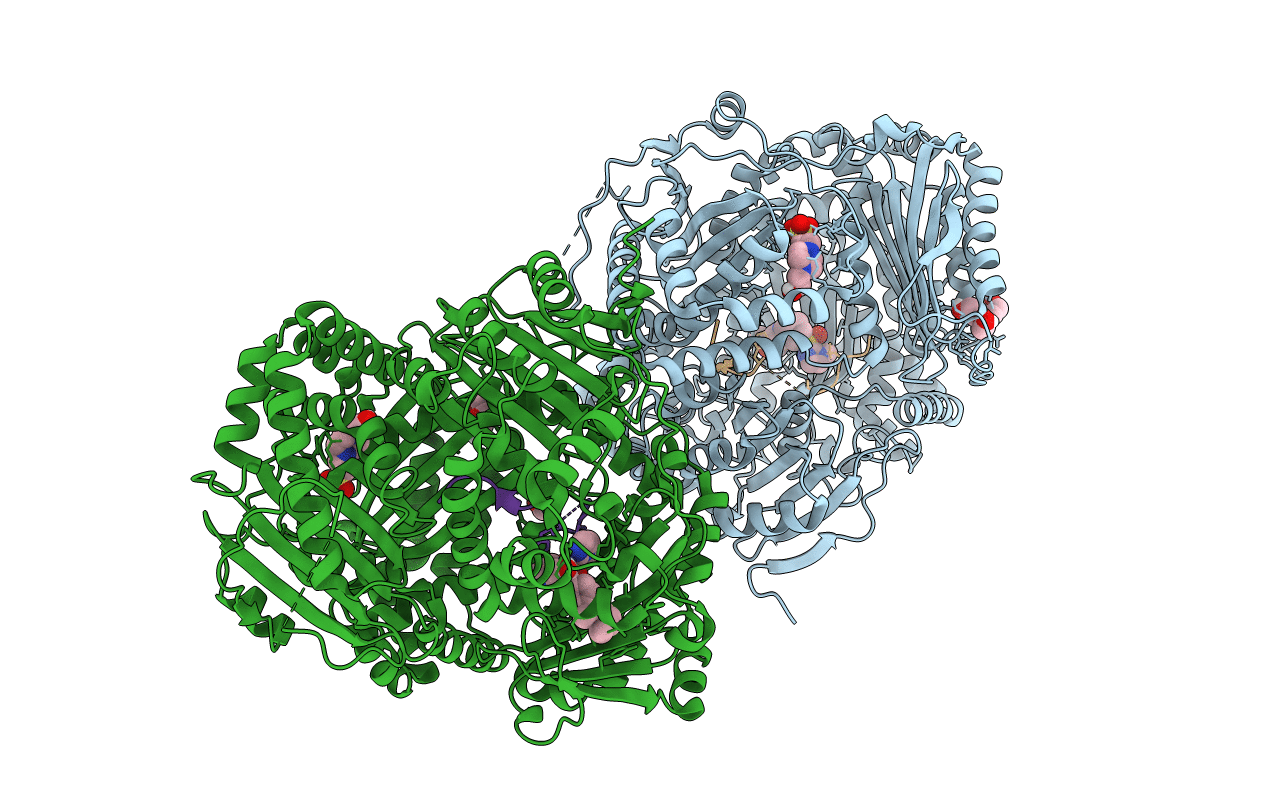 6EDS image