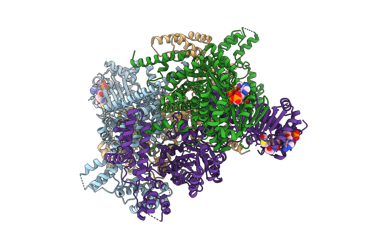 6EE1 image
