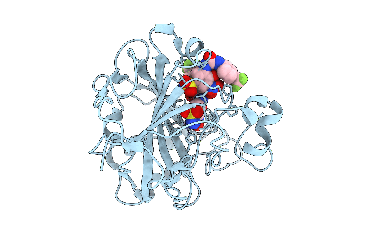 6EEA image