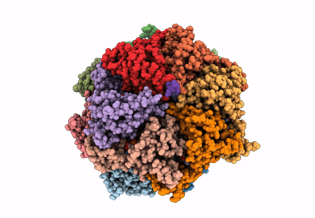 6EF1 image