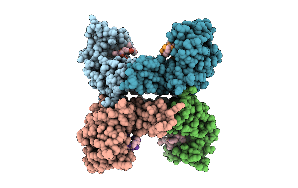 6EF5 image