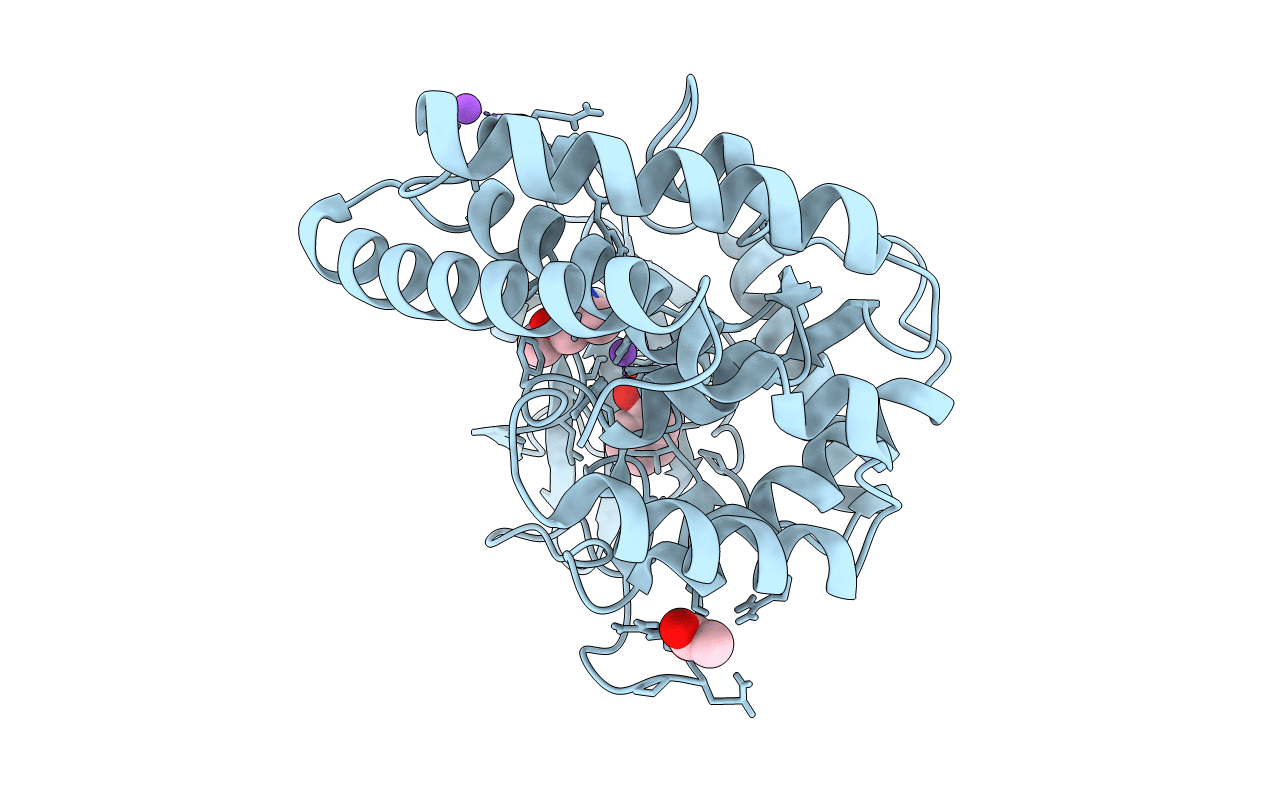 6EF6 image