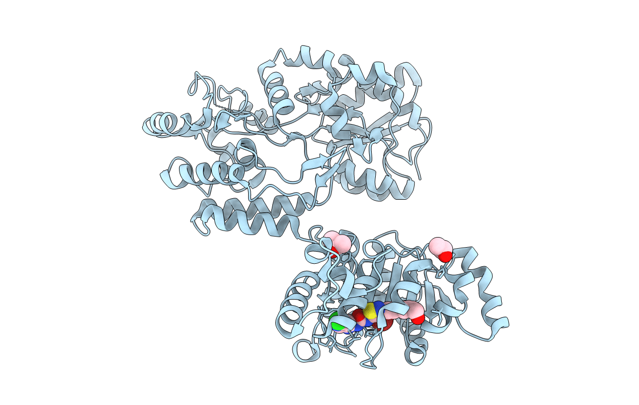 6EG2 image