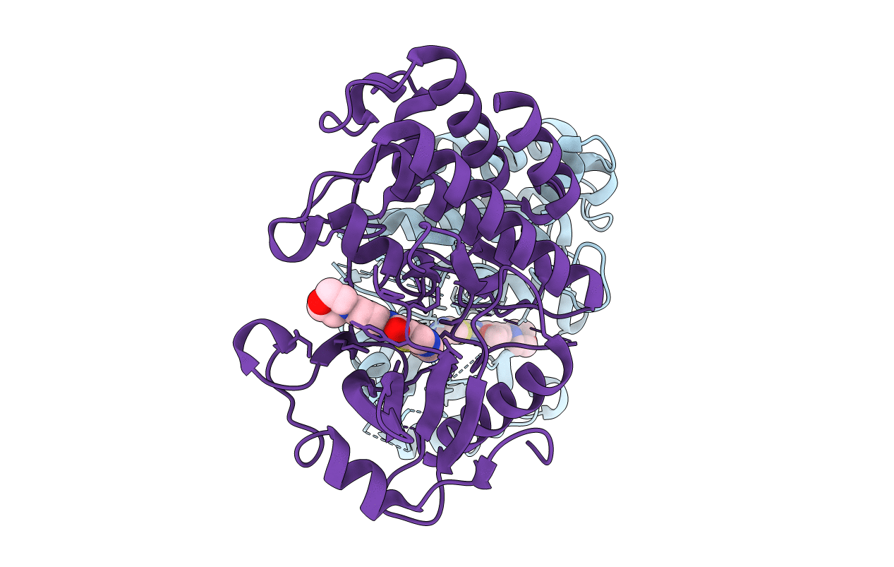 6EGD image