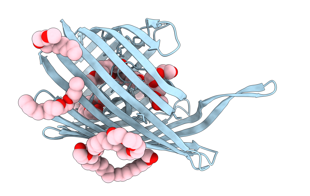6EHD image