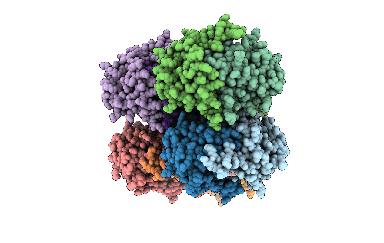 6EHI image