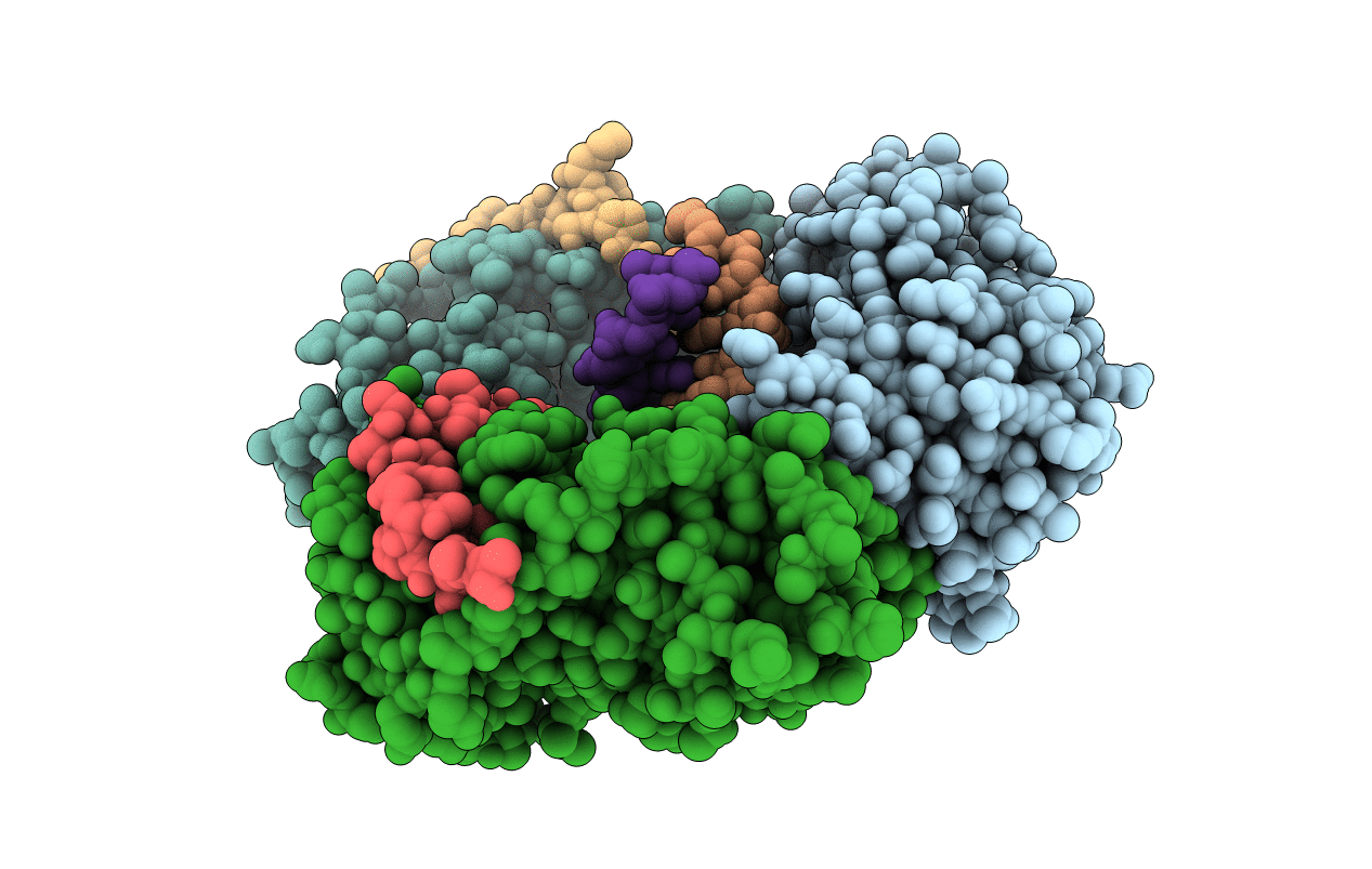 6EHT image