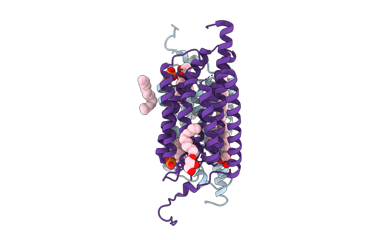6EIG image
