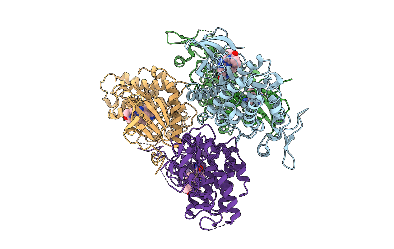 6EIP image