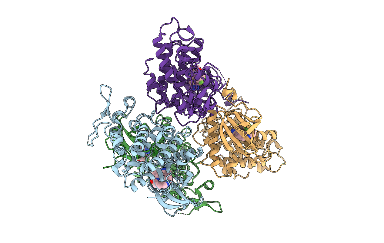 6EIS image