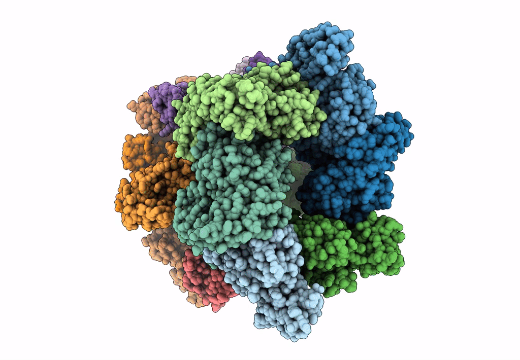 6EJF image