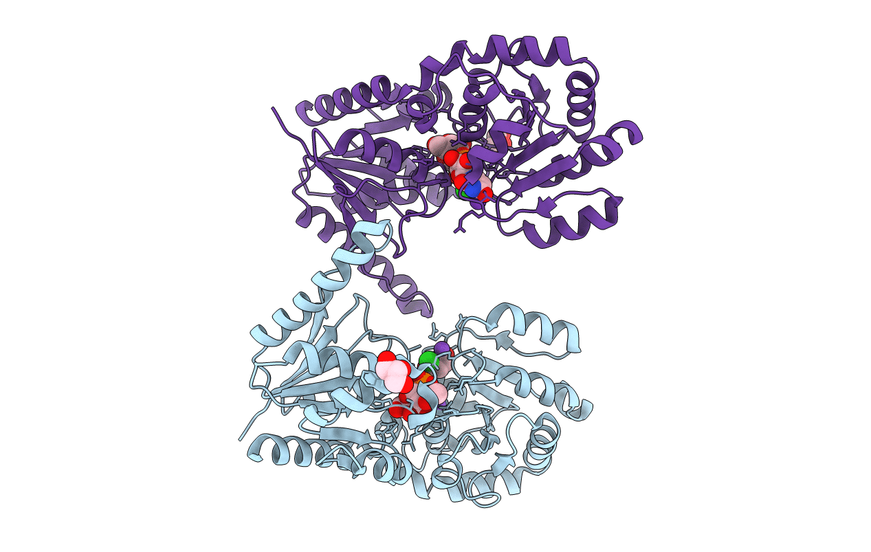 6EJI image