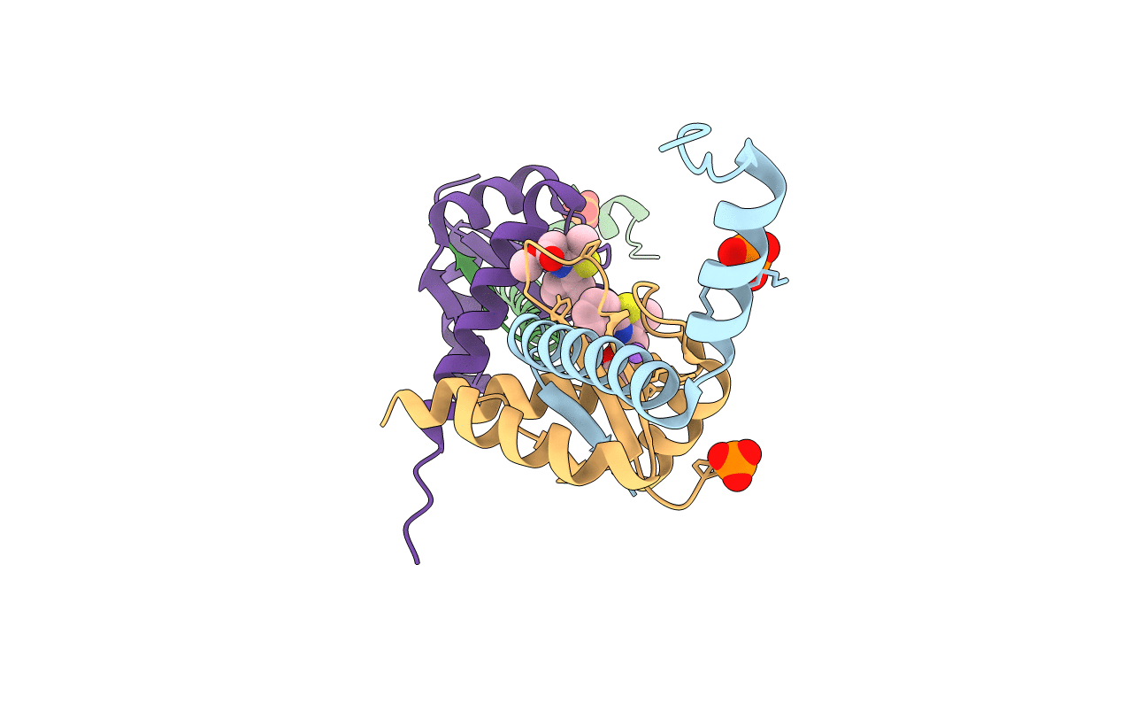 6EJP image