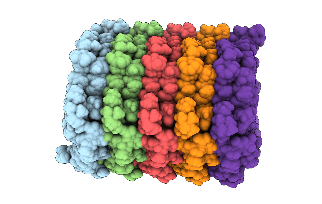 6EKA image
