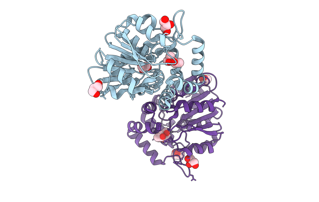 6ELX image