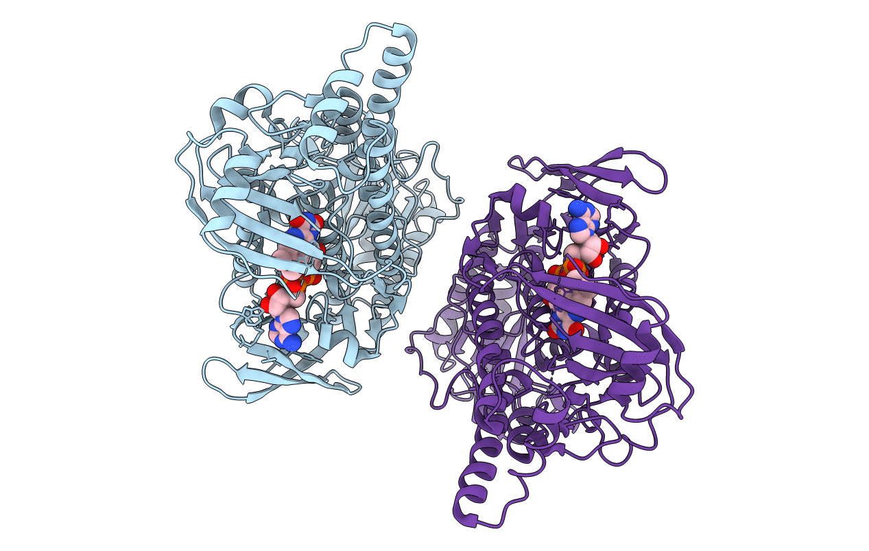 6EM0 image